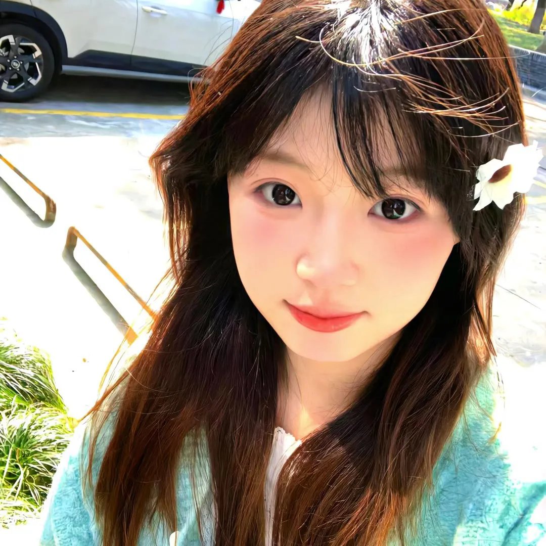 痴心儿女封面